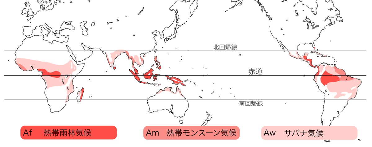 高校地理 A気候 熱帯 の自然と暮らし 熱帯雨林 サバナ 世界の気候 授業動画 高校地理のyoutube授業動画 地理を通して世界を知ろう