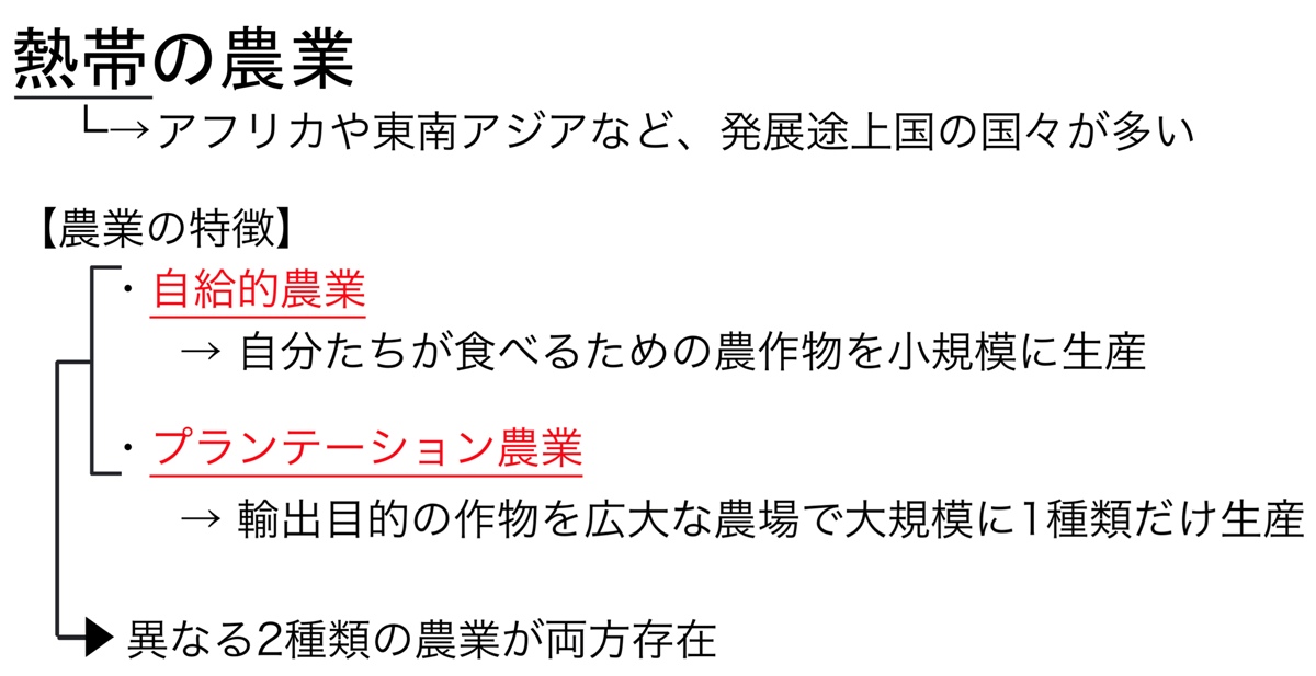 高校地理 A気候 熱帯 の自然と暮らし 熱帯雨林 サバナ 世界の気候 授業動画 高校地理のyoutube授業動画 地理を通して世界を知ろう