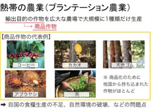 【高校地理】A気候(熱帯)の自然と暮らし(熱帯雨林、サバナ) | 世界の気候【授業動画】 | 高校地理のYouTube授業動画 〜地理を通して ...