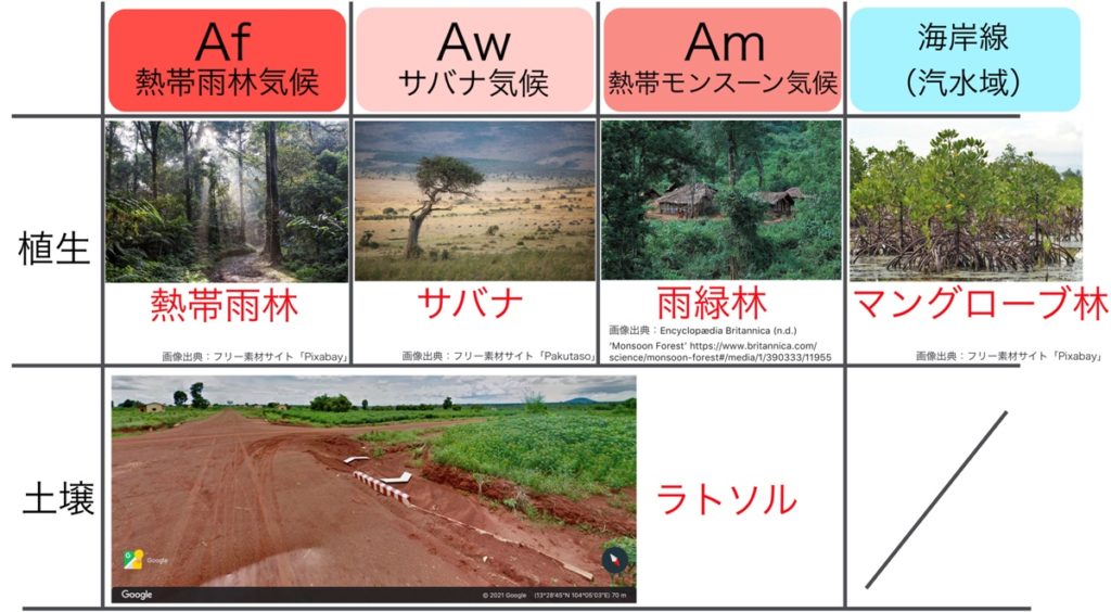 【高校地理】A気候(熱帯)の自然と暮らし(熱帯雨林、サバナ) | 世界の気候【授業動画】 | 高校地理のYouTube授業動画 〜地理を通して ...
