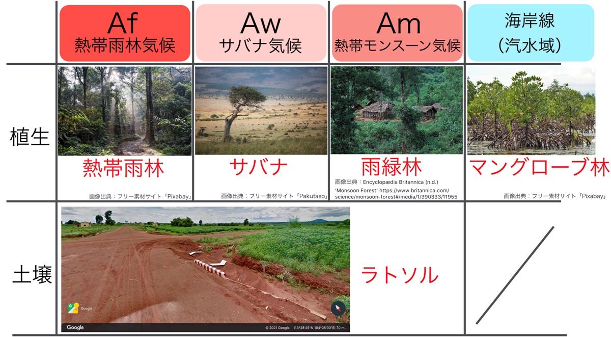 高校地理 A気候 熱帯 の自然と暮らし 熱帯雨林 サバナ 世界の気候 授業動画 高校地理のyoutube授業動画 地理を通して世界を知ろう