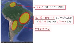 【高校地理】A気候(熱帯)の自然と暮らし(熱帯雨林、サバナ) | 世界の気候【授業動画】 | 高校地理のYouTube授業動画 〜地理を通して ...