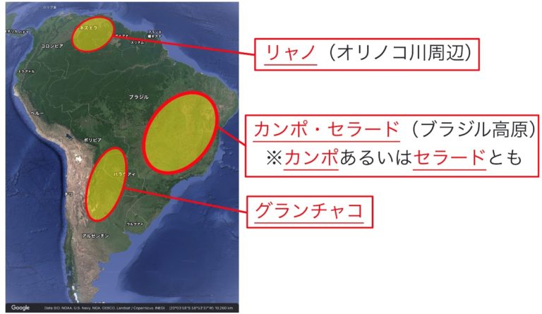 【高校地理】A気候（熱帯）の自然と暮らし（熱帯雨林、サバナ） | 世界の気候【授業動画】 | 高校地理のYouTube授業動画 〜地理を通して ...