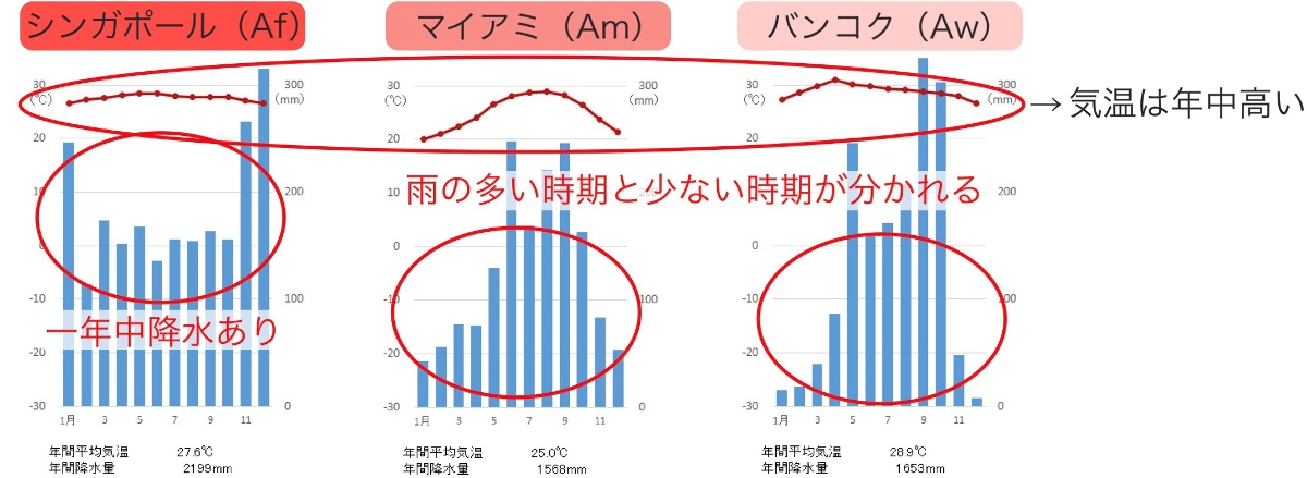 高校地理 A気候 熱帯 の自然と暮らし 熱帯雨林 サバナ 世界の気候 授業動画 高校地理のyoutube授業動画 地理を通して世界を知ろう