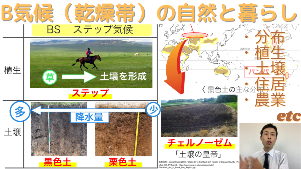 【高校地理】A気候(熱帯)の自然と暮らし(熱帯雨林、サバナ) | 世界の気候【授業動画】 | 高校地理のYouTube授業動画 〜地理を通して ...