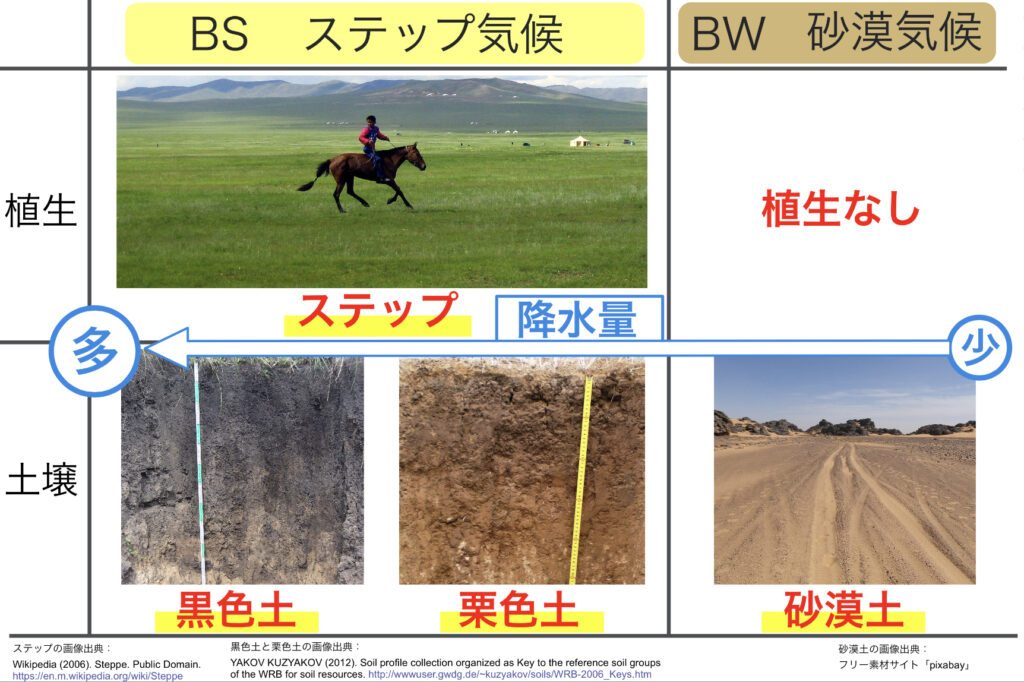 乾燥帯の植生と土壌