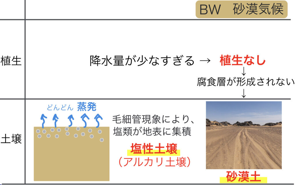 砂漠土が形成される仕組み