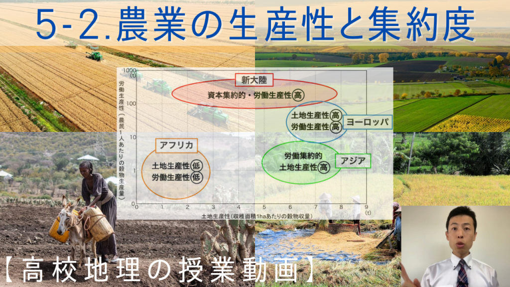 農業の生産性と集約度