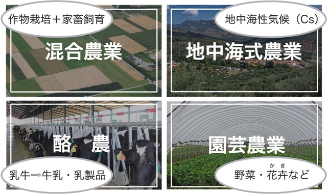 4つの商業的農業