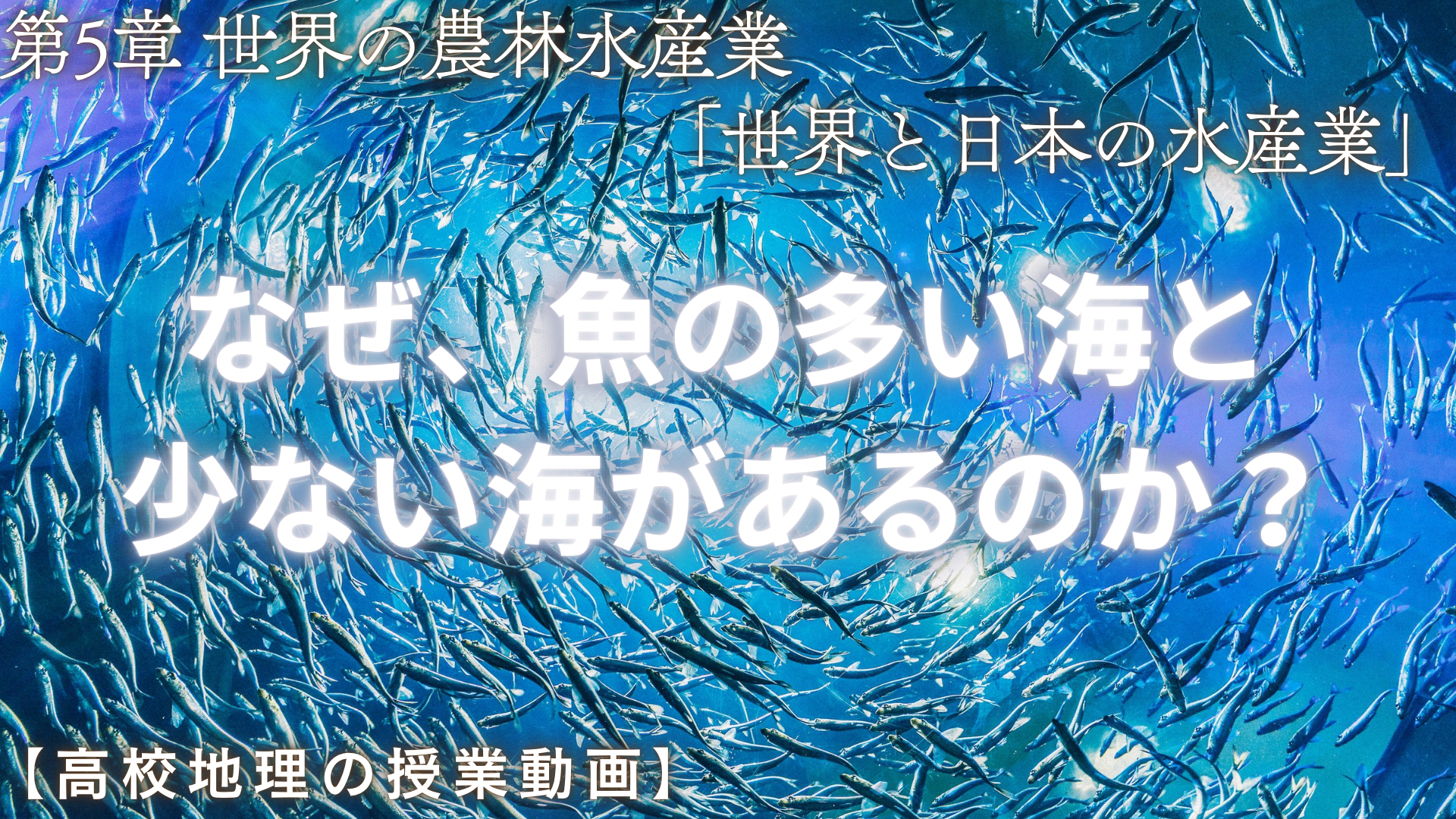 日本と世界の水産業