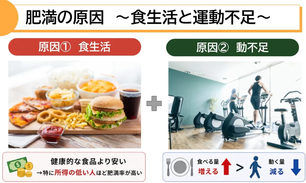 肥満の原因―食生活と運動不足