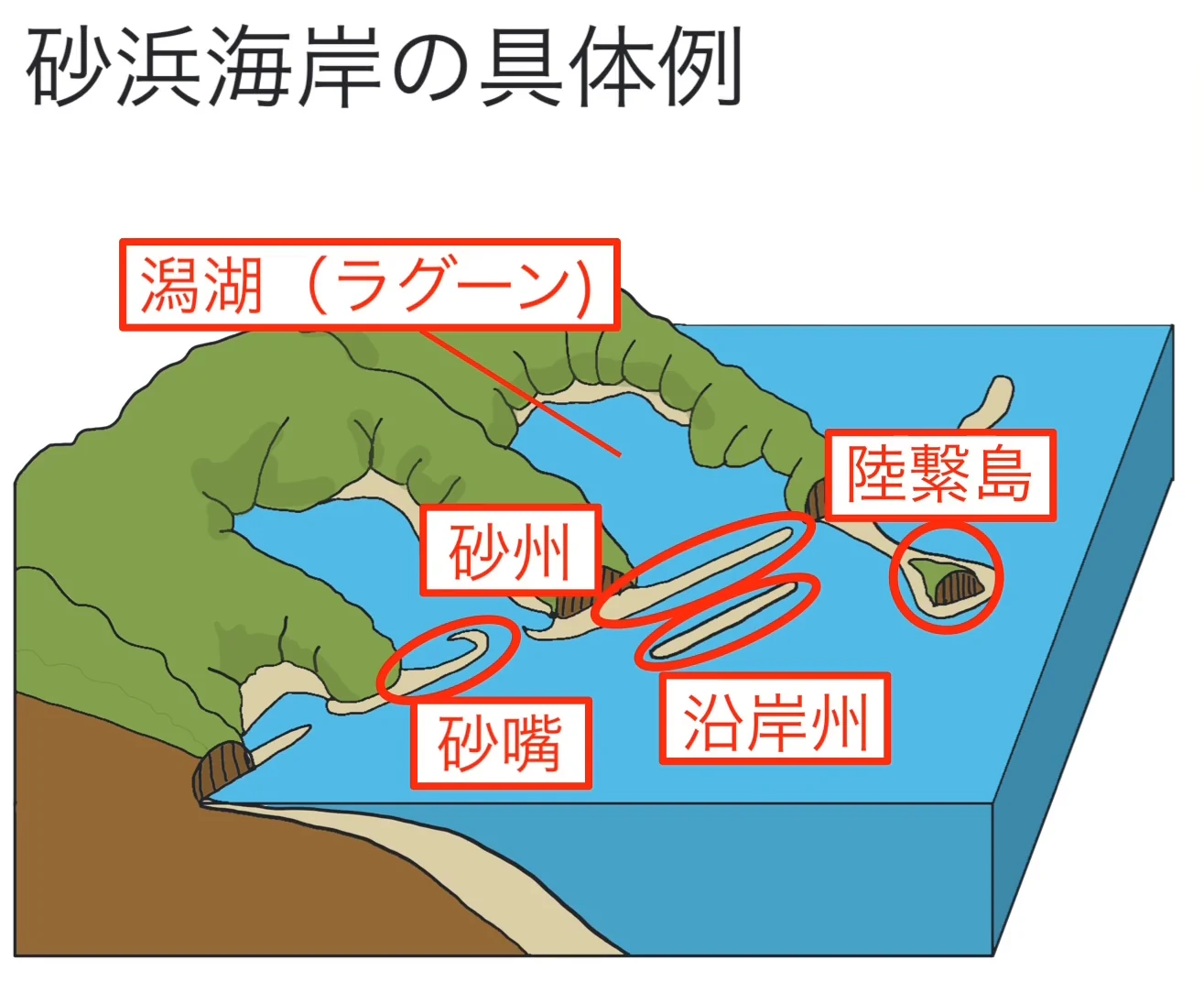 陸地と海を立体的に描いた模式図に、潟湖（ラグーン）・砂州・砂嘴・沿岸州・陸繋島の位置が赤い丸と文字で示されている。