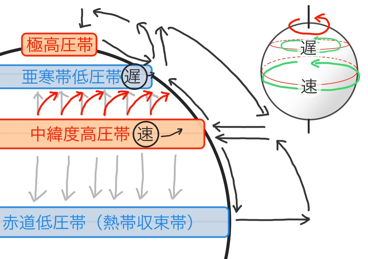 北半球の気圧帯を拡大した図と、地球の自転を示す球体を並べた図。球体には自転の向きと、高緯度側の「遅」、低緯度側の「速」が示され、緯度によって自転の速度が異なることが表されている。