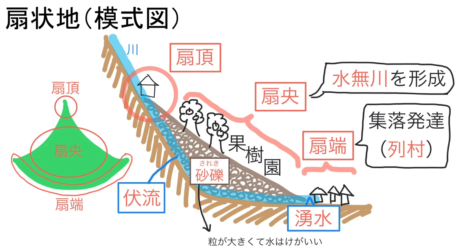 扇状地の模式図。左は扇頂・扇央・扇端を示した平面図、右は断面図で、扇央の砂礫層を水が伏流して水無川となり果樹園に使われ、扇端で湧水が出て列村の集落が発達する様子が描かれている。