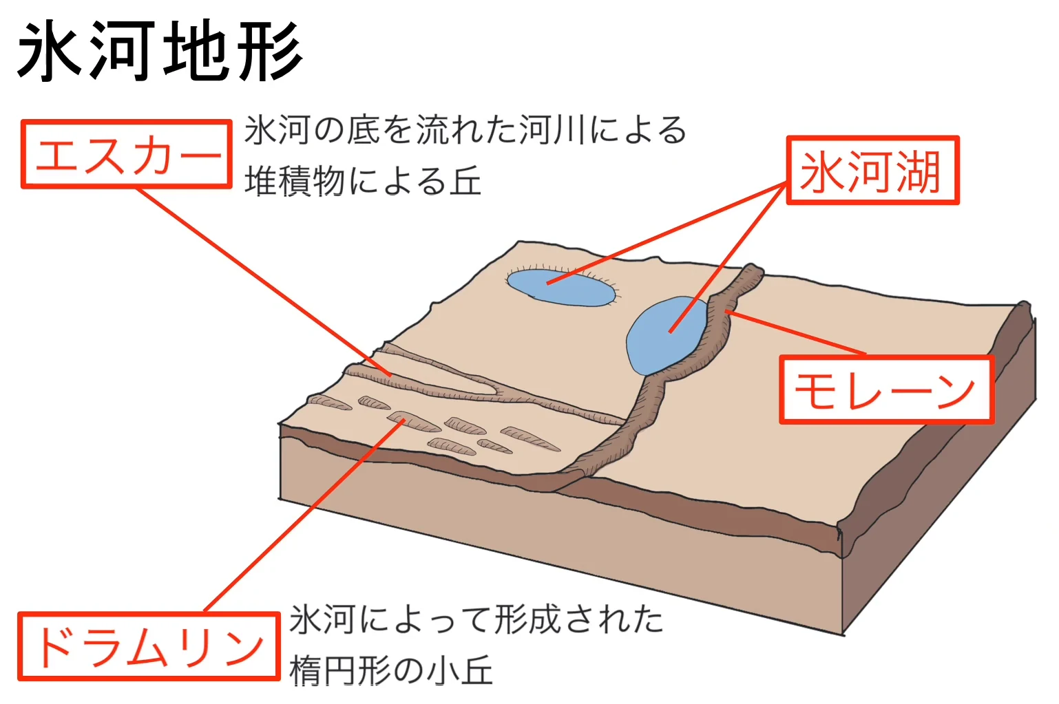 氷河の末端部の地形を描いた鳥瞰の模式図。細長く枝分かれして延びる高まりに「エスカー(氷河の底を流れた河川による堆積物による丘)」、青い湖に「氷河湖」、湖を縁取る帯状の高まりに「モレーン」、並んだ小さな丘に「ドラムリン(氷河によって形成された楕円形の小丘)」のラベルが付いている。