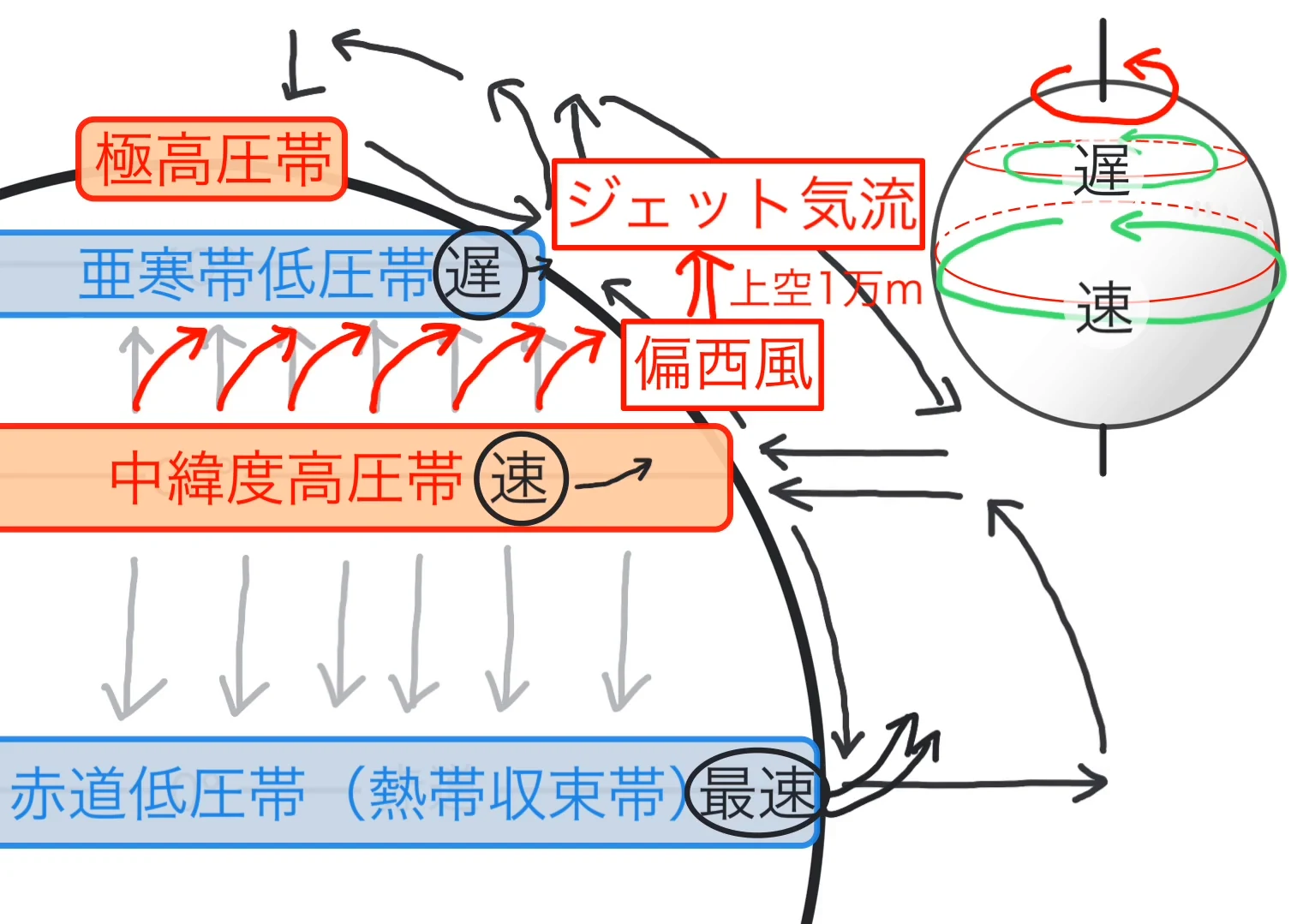 中緯度高圧帯から亜寒帯低圧帯へ向かう風が東向きに曲がる様子を赤い矢印で示した図。「偏西風」のラベルと、上空1万メートルを流れる「ジェット気流」が書き加えられている。