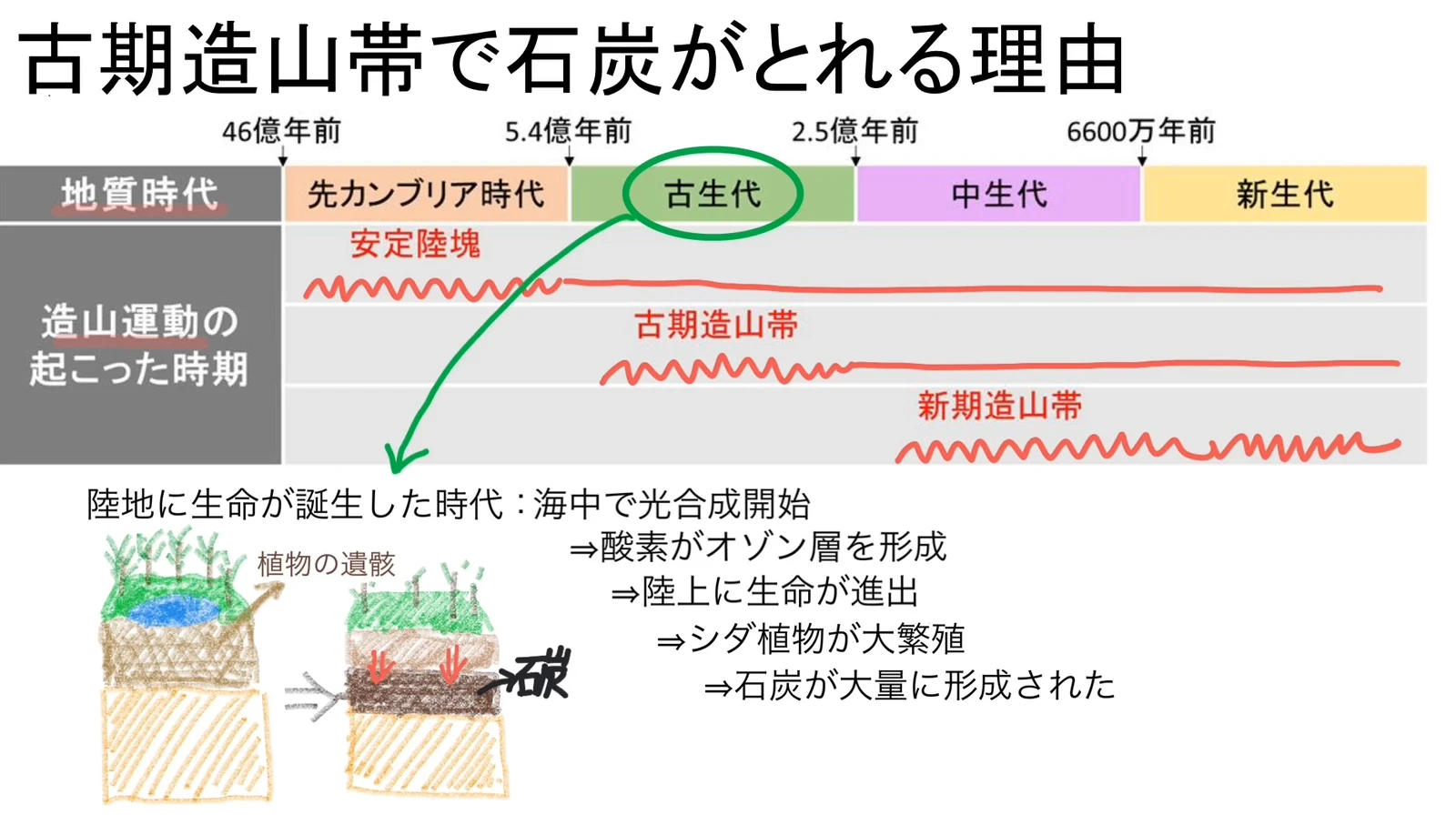 年表の古生代を緑の丸で囲み、陸地に生命が誕生した時代の流れ（光合成、オゾン層、陸上進出、シダ植物、石炭）を矢印で並べた図。左下に石炭ができる過程の断面図。
