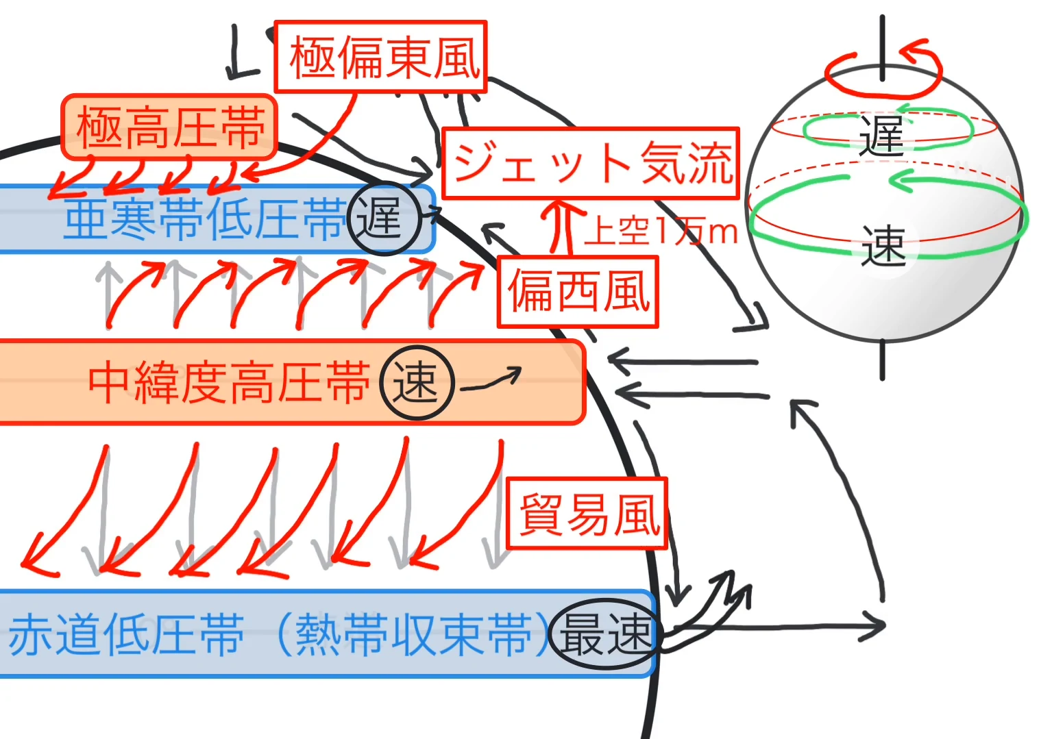 恒常風をまとめた図。極高圧帯から亜寒帯低圧帯への極偏東風、中緯度高圧帯から亜寒帯低圧帯への偏西風、中緯度高圧帯から赤道低圧帯への貿易風が、それぞれ赤い矢印とラベルで示されている。