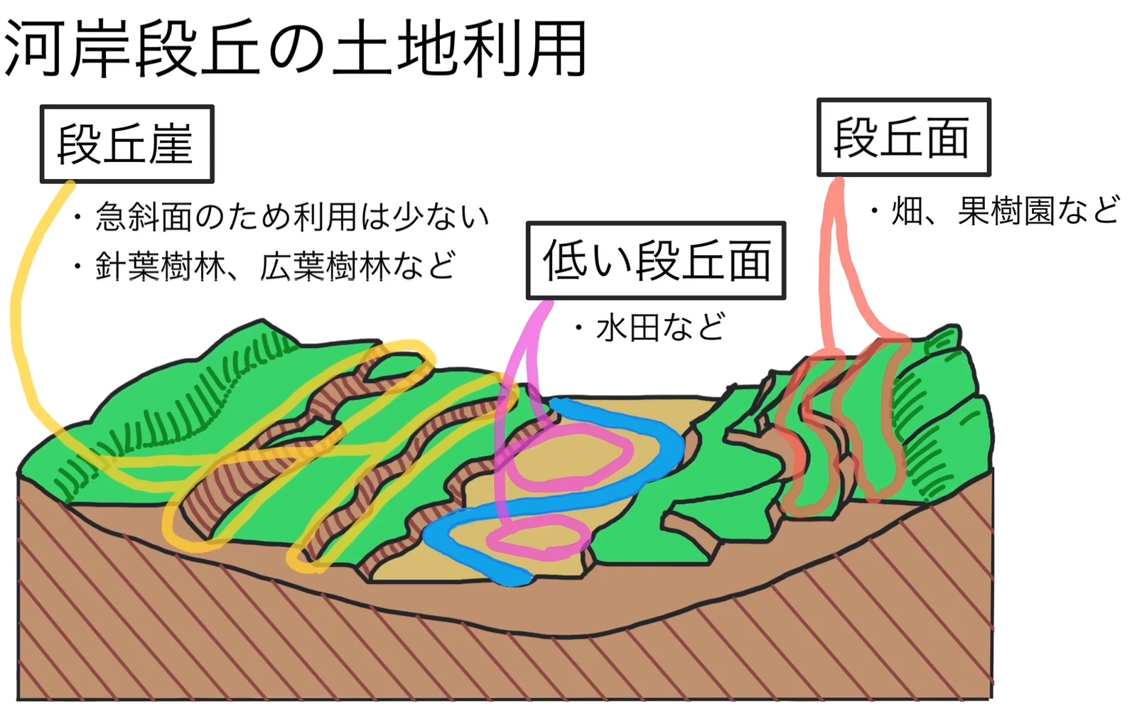 河岸段丘を斜め上から描いた模式図。段丘崖に「急斜面のため利用は少ない」「針葉樹林、広葉樹林など」、高い段丘面に「畑、果樹園など」、川沿いの低い段丘面に「水田など」と注記されている。