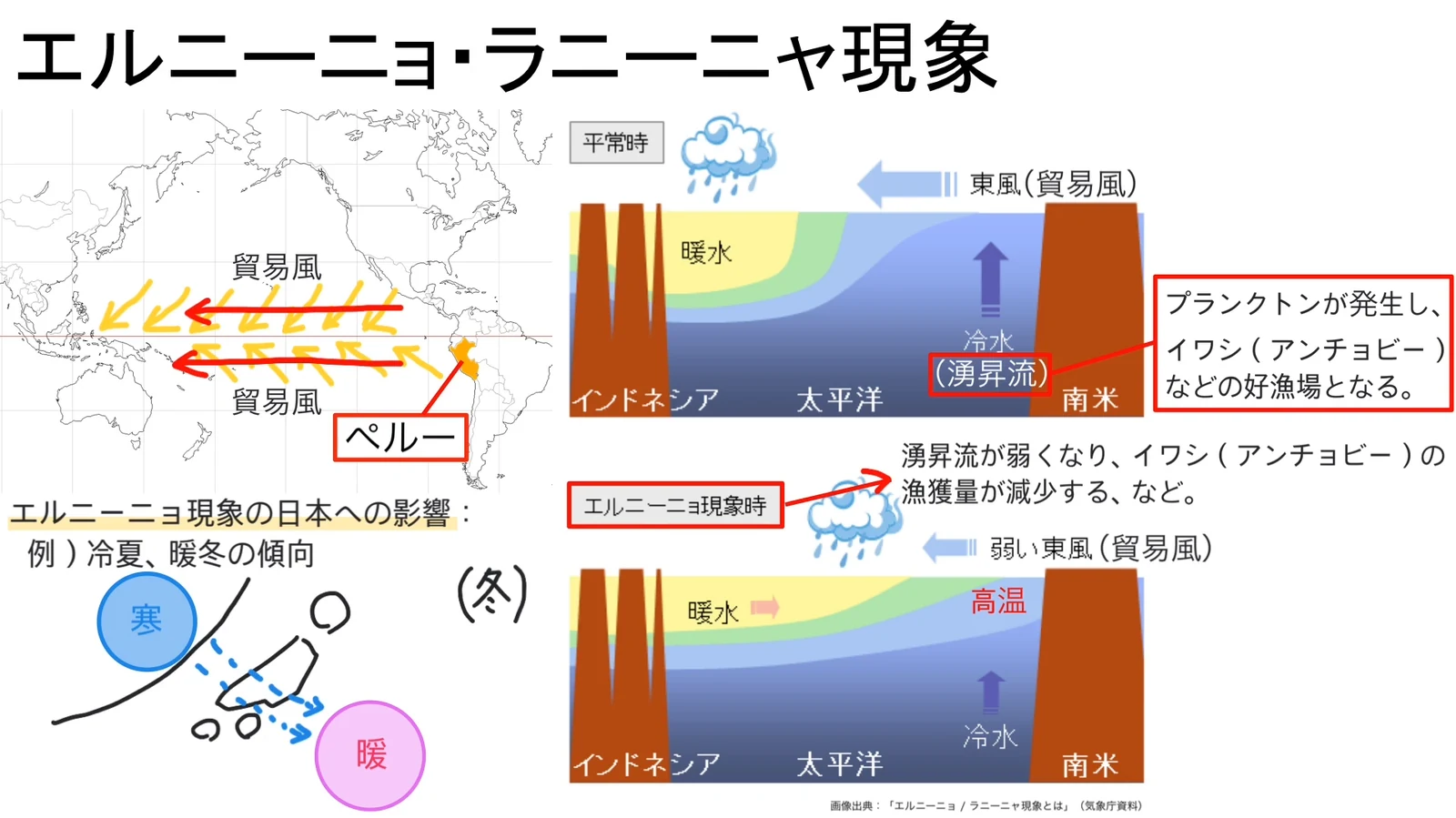上に平常時、下にエルニーニョ現象時の太平洋の断面図を並べた比較。エルニーニョ現象時は東風（貿易風）が弱く、南米側の海水温が「高温」となり、「湧昇流が弱くなり、イワシ（アンチョビー）の漁獲量が減少する、など。」と注記されている。左下にはエルニーニョ現象の日本への影響として、冷夏・暖冬の傾向と冬の気圧配置の模式図がある。