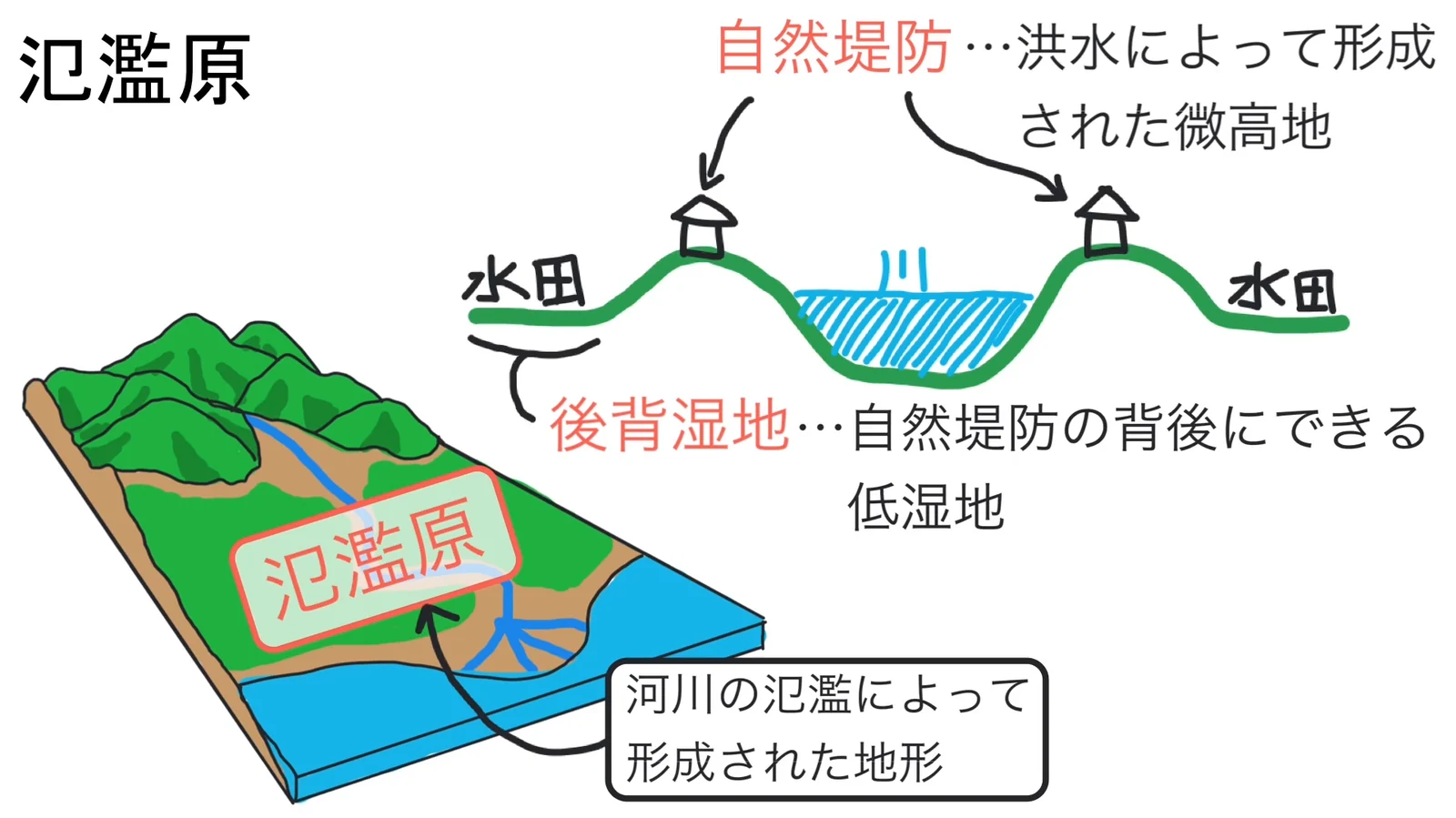 左に氾濫原の位置を示した立体模式図、右に川をはさむ断面図があり、川の両側の高まりに家が建つ自然堤防と、その外側の低い水田が後背湿地として説明されている。