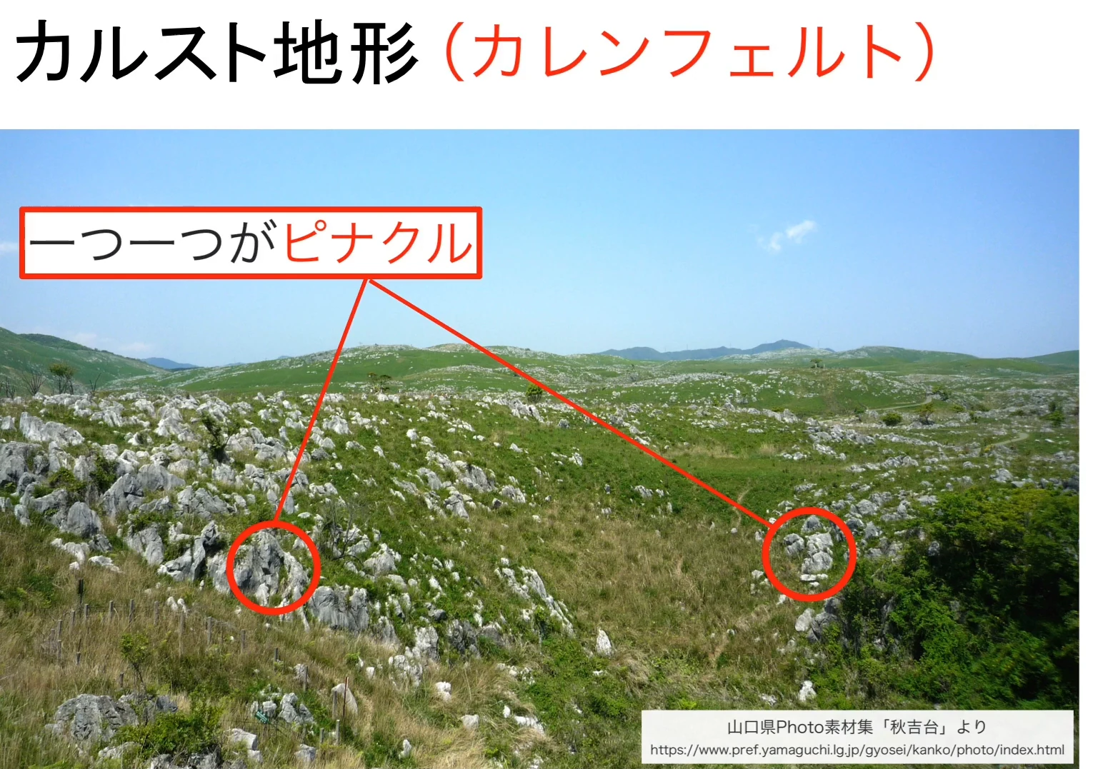 「カルスト地形(カレンフェルト)」のスライド。秋吉台の草原に白い石灰岩が一面に点在する写真で、手前の2つの岩を赤い丸で囲み、「一つ一つがピナクル」の注記を付けている。