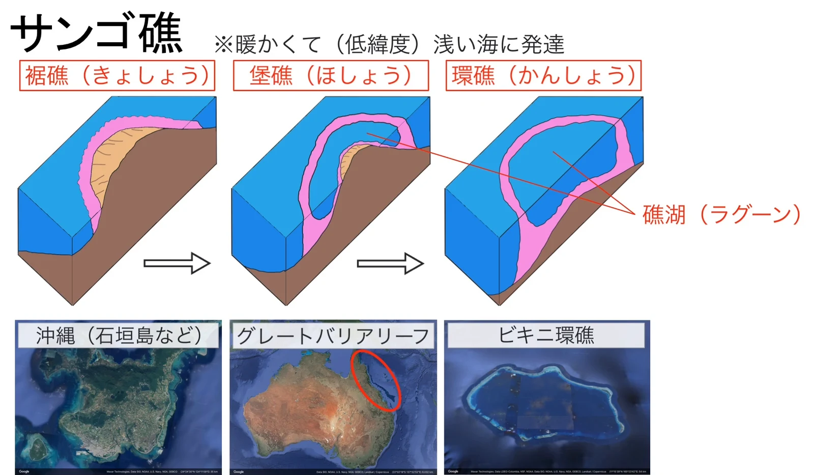 「サンゴ礁 ※暖かくて(低緯度)浅い海に発達」と題した模式図。陸地の縁をサンゴ礁(ピンク)が取り巻く「裾礁(きょしょう)」、陸地とサンゴ礁の間に海が入った「堡礁(ほしょう)」、陸地が見えなくなりサンゴ礁だけが輪になった「環礁(かんしょう)」が矢印で順につながり、堡礁と環礁の内側の水域に「礁湖(ラグーン)」のラベルがある。下に代表例として沖縄(石垣島など)、グレートバリアリーフ、ビキニ環礁の衛星画像が並ぶ。