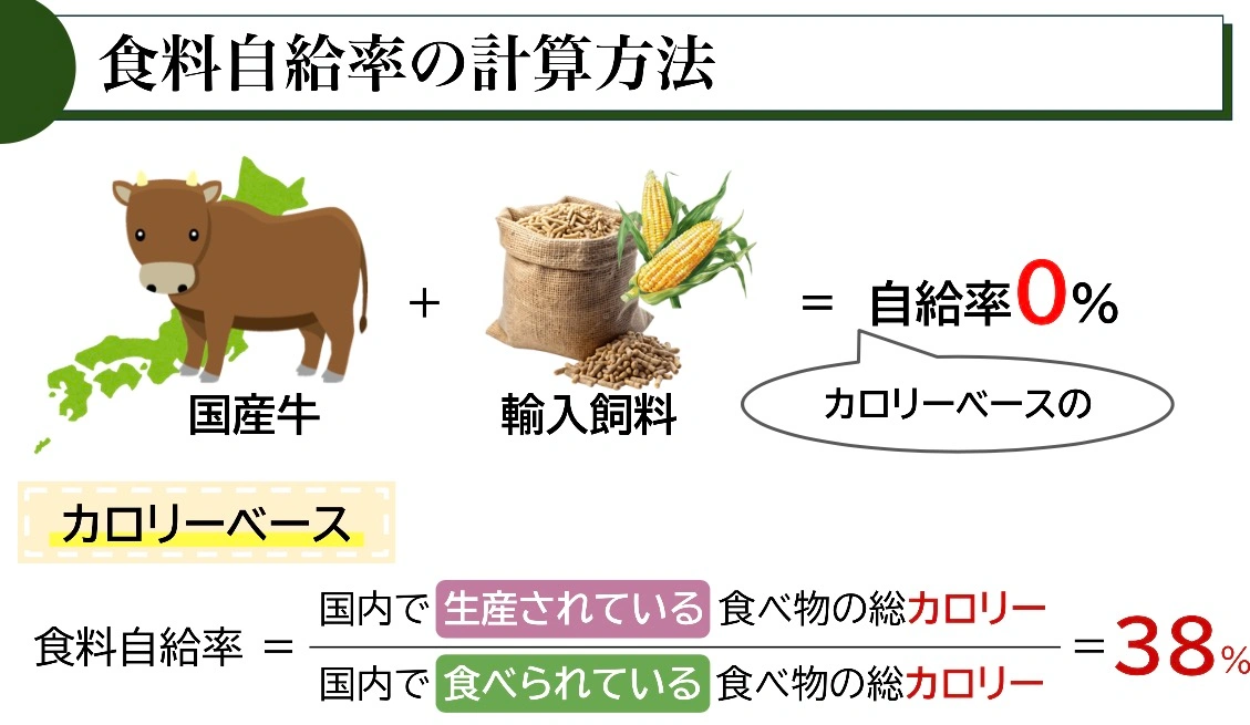 国産牛と輸入飼料を組み合わせるとカロリーベースの自給率は0%になることを示した図と、カロリーベース食料自給率の計算式(国内で生産された食べ物の総カロリー÷国内で食べられている食べ物の総カロリー)