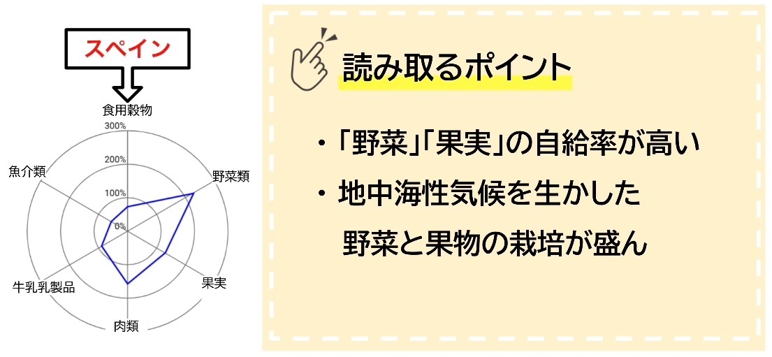 スペインの品目別食料自給率のレーダーチャート。野菜と果実の自給率が100%を超え、地中海性気候を生かした農業が読み取れる
